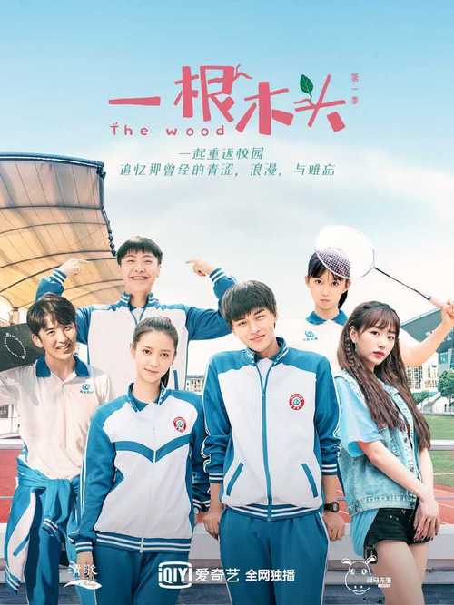 一根木头结局邵天杨去哪了?(江涛导演作品)
