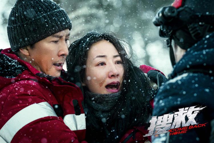 甄子丹韩雪电影极地救援结局?(甄子丹 导演的电影叫什么)
