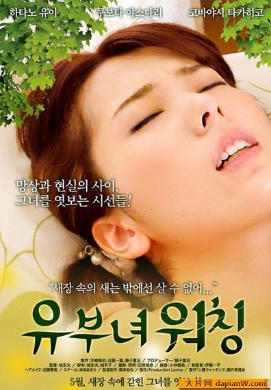 哥哥的女人影评?(导演干演员日本伦理电影)
