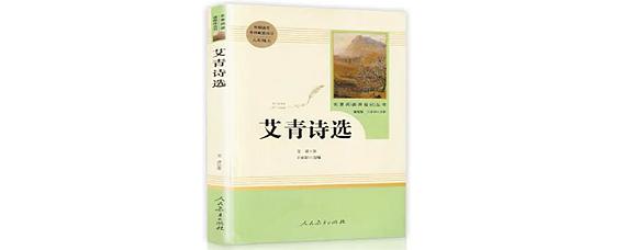 艾青20世纪30年代代表作品有哪些?(世纪人生 导演)