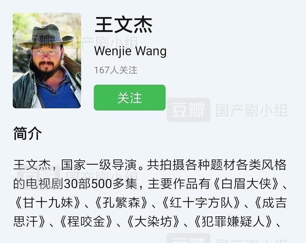 姓王的导演有哪些?(影片我11的导演)