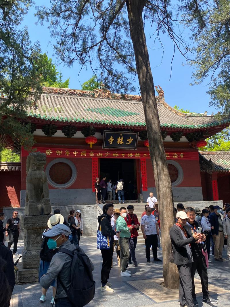 少林寺是哪个宗的祖廷？（禅宗少林导演）