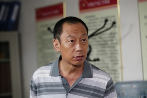 马向阳下乡记有几部?(马向阳导演)