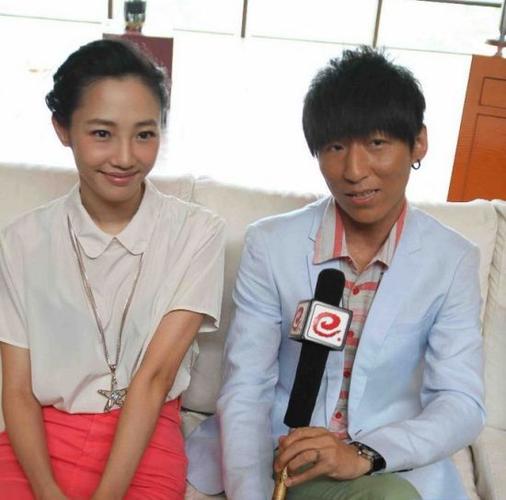 羽泉白百何演过的电视剧？（白百何哪个导演）