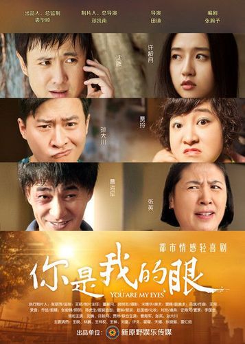 你是我的眼什么时候拍的?(翟振华导演百科)