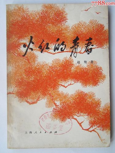 火红的青春于丽丽结局?(火红的青春导演是谁)