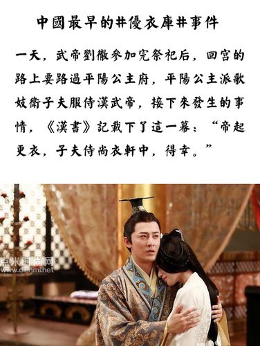 卫子夫第几集平阳得知自己误会子夫?(导演卫青电话)