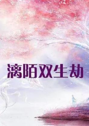 双生劫什么时候上映？（导演赵侠）
