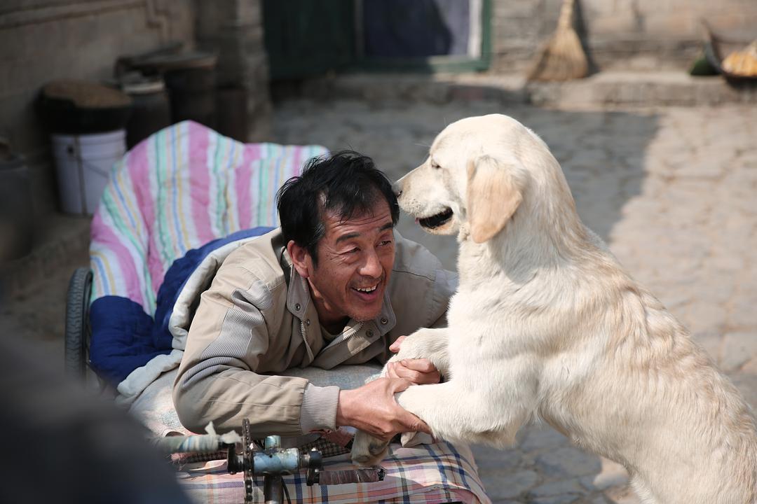 忠爱无言2为什么看不了?(忠爱无言导演)