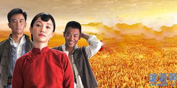 红高粱的导演是谁？（电视版红高梁导演是谁）