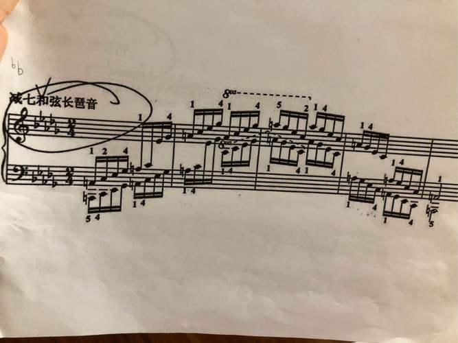 注视琶音和弦的弹奏方法？（the piano中导演如何在镜头上的运用实现了反抗凝视）