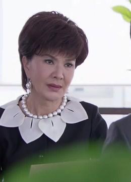 总务课高虹是什么电视？（王蕾导演）