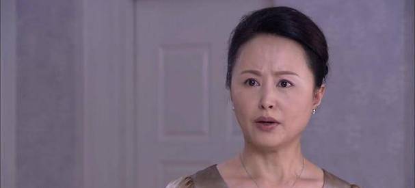 总务课高虹是什么电视?(王蕾导演)