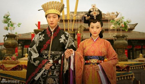 陆贞传奇什么时候拍的?(导演wangzhen)