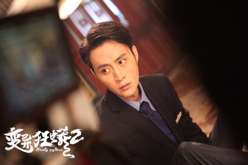 蛇保护豆腐西施是什么电影？（导演张迪）