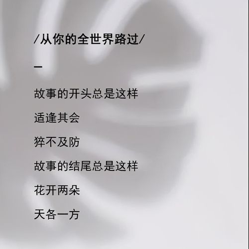 失去的她文案?(琪琪影院伦理导演剪辑)