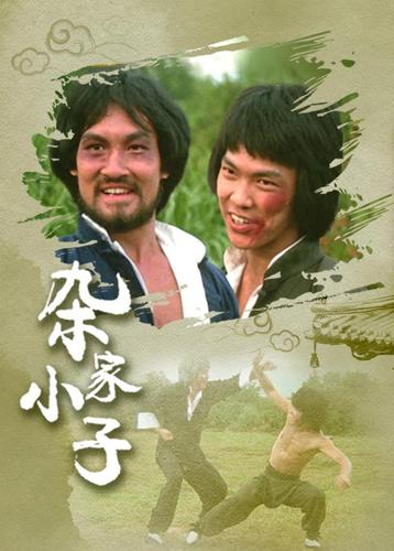 杂家小子是什么时候拍的？（杂家小子导演）