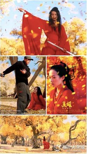 电影英雄拍摄地有哪些?(英雄 2002 导演剪辑版)