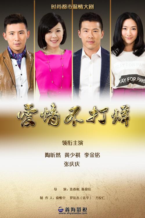 爱情不打烊百科？（陈俊任导演年龄）