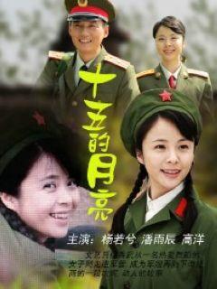 八月十五的月光电视剧内容？（黄克敏导演的电视剧）
