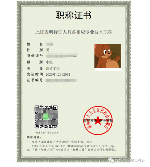 人社局认可的中级职称？（国家三级导演申报）