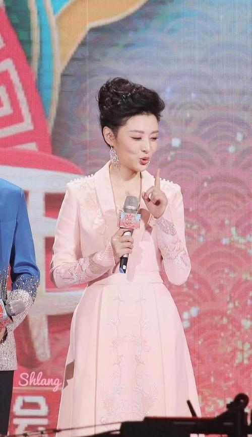 周涛央视担任什么职务？（央视心连心总导演）
