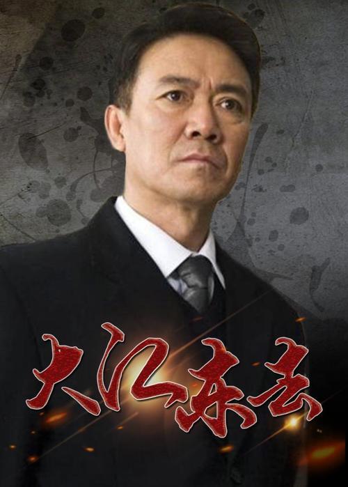 电视剧大江东去是哪年拍摄的?(王宁导演的电视剧)