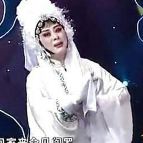 秦雪梅吊孝完整剧本?(秦雪梅吊孝剧情介绍)