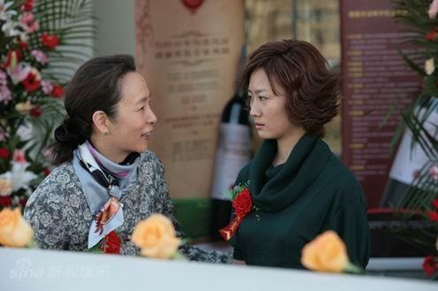 晚婚保险是什么?(晚婚电视剧剧情介绍)