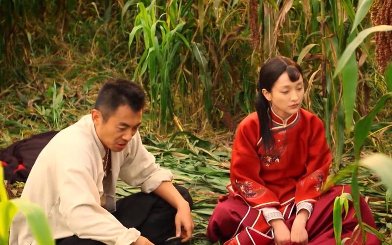 红高粱余占鳌杀鬼子第几集?(红高粱分集剧情介绍)