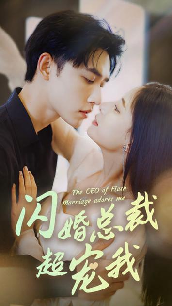 闪婚总裁超宠我男主角是谁演的?(闪婚电视剧剧情介绍)