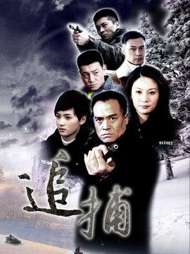 当家做主剧情介绍？（追捕剧情分集介绍）