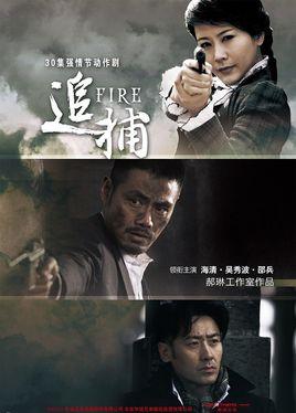 当家做主剧情介绍?(追捕剧情分集介绍)