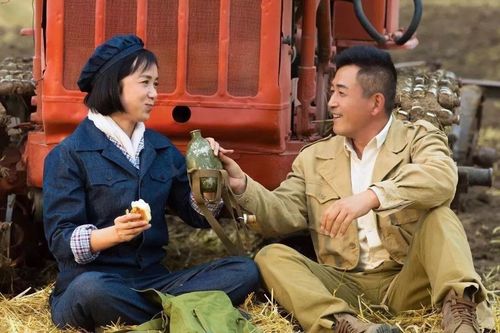 花儿与远方剧终介绍？（花儿与远方剧情介绍）