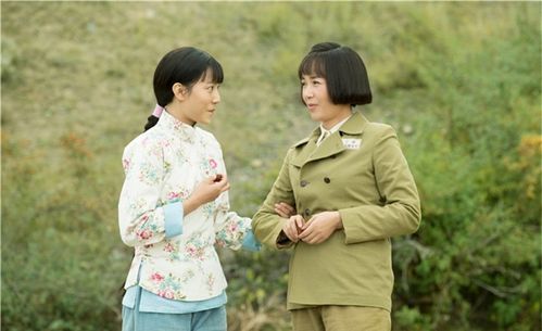 花儿与远方剧终介绍?(花儿与远方剧情介绍)