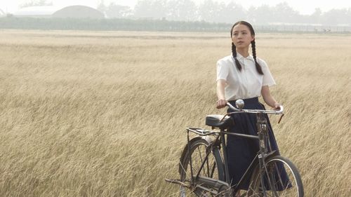 孔雀是一部什么样的电影,讲了什么内容?(孔雀剧情介绍)