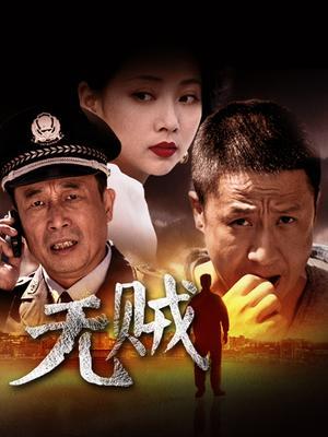 无贼电视剧是哪年拍的？（电视剧无贼剧情介绍）