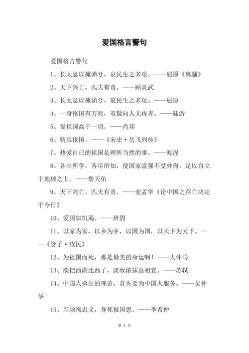 爱国励志名言名句?(爱国者剧情分集介绍)