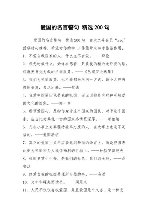 爱国励志名言名句?(爱国者剧情分集介绍)