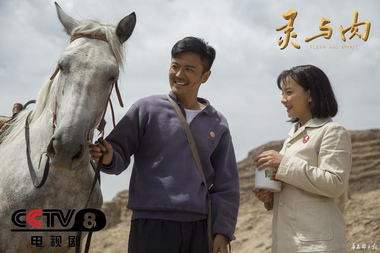 灵与肉的内容简介？（灵与肉电视剧剧情介绍）