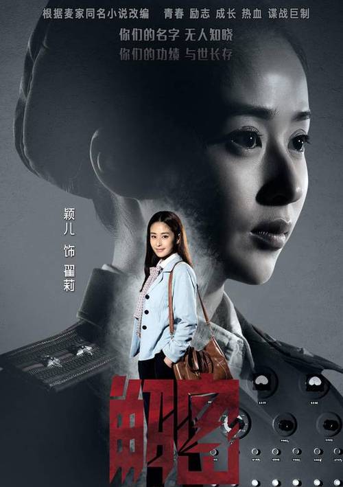 国内解密的绝密文件有哪些?(解密电视剧剧情介绍)