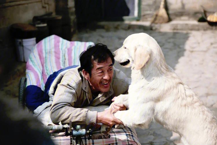 忠爱无言哪一年拍的？（忠爱无言剧情介绍）