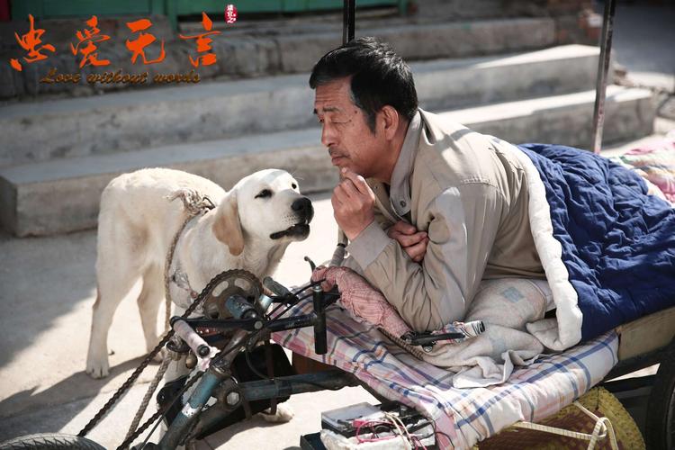忠爱无言哪一年拍的?(忠爱无言剧情介绍)