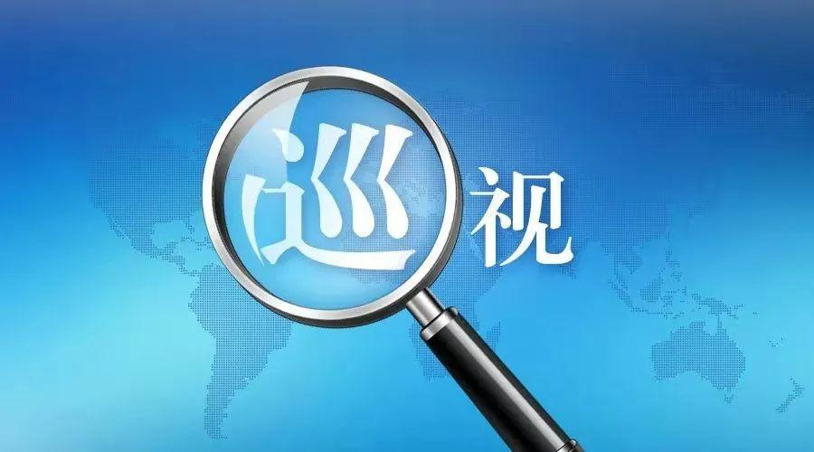 巡视监察组剧情?(监察局长剧情介绍)