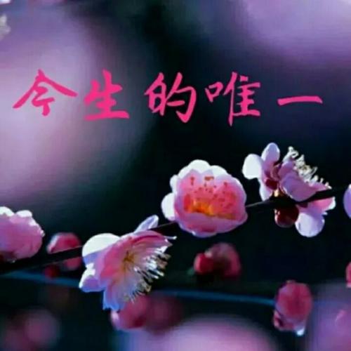 一生守护三生牵挂是什么意思?(一生守护剧情分集介绍)