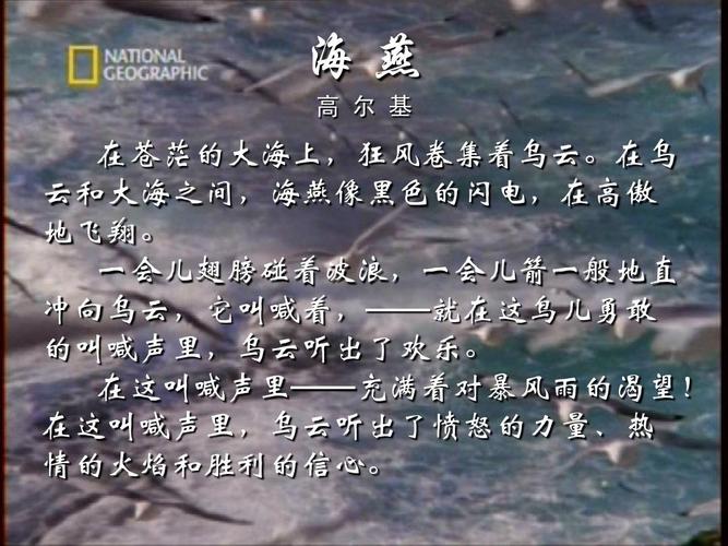 高尔基的<<海燕>>中的海燕象征着什么人?(阳光代表全集剧情介绍)