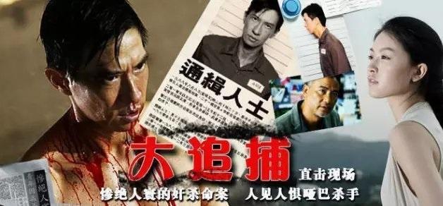 大追捕剧情真相介绍？（真相剧情介绍）