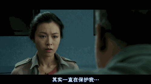 大追捕剧情真相介绍?(真相剧情介绍)