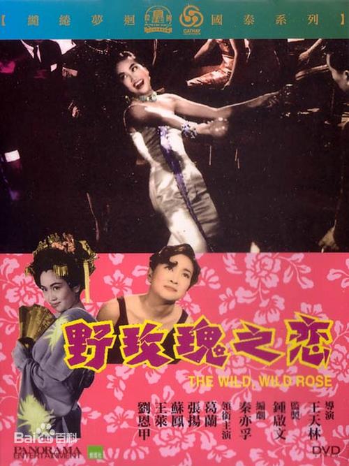 何佩琴什么电视剧?(贤妻剧情介绍)