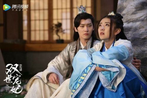双世宠妃 连城公子的剧情？（双世宠妃剧情介绍）